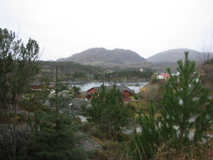 img_0003.jpg