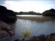 pict0020.jpg