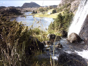 pict0098.jpg
